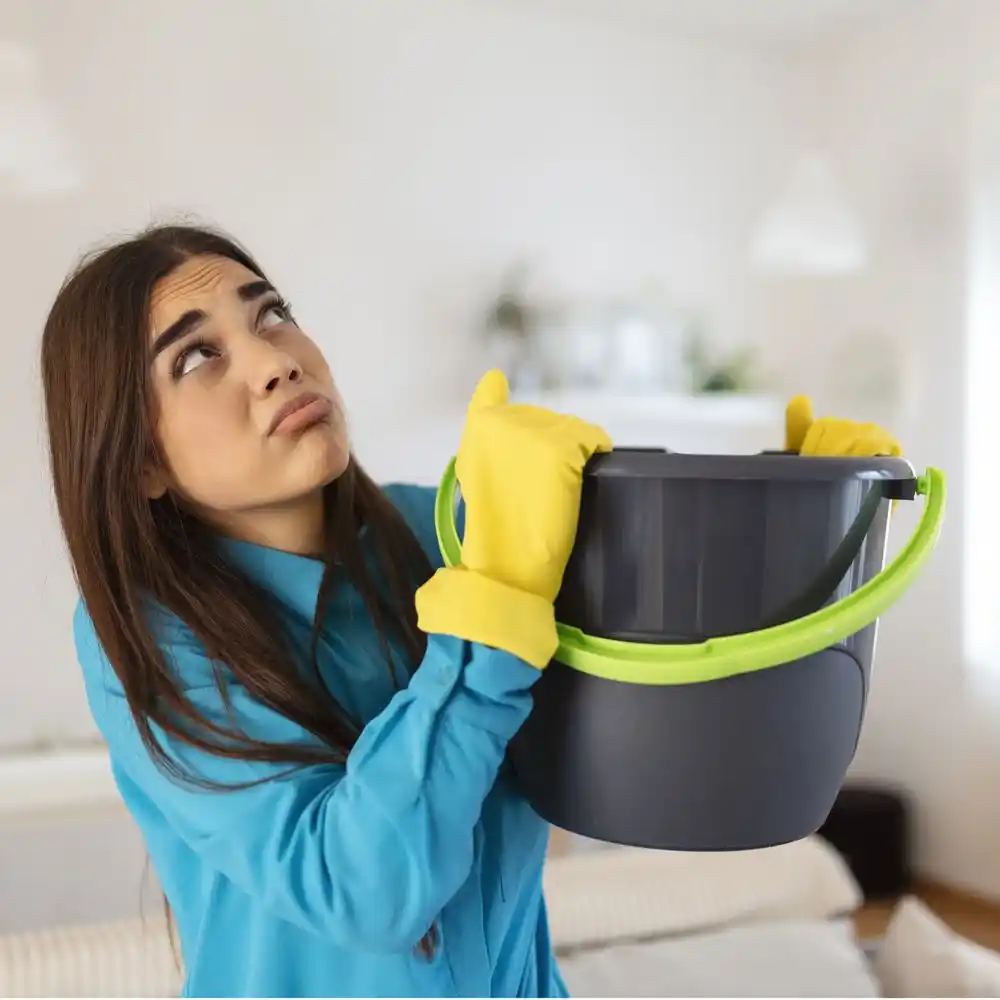 water damage restoration service Clyde